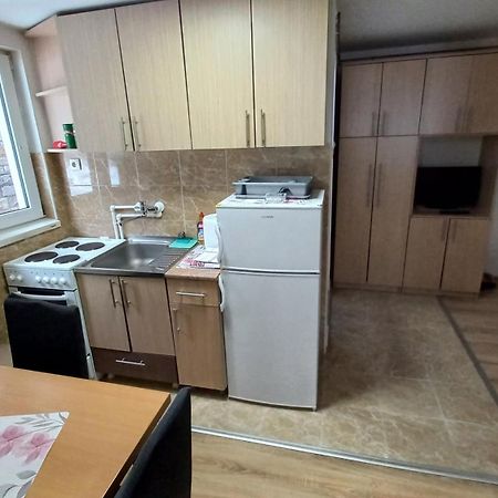 Kopaonik Apartman Aleksandar Εξωτερικό φωτογραφία