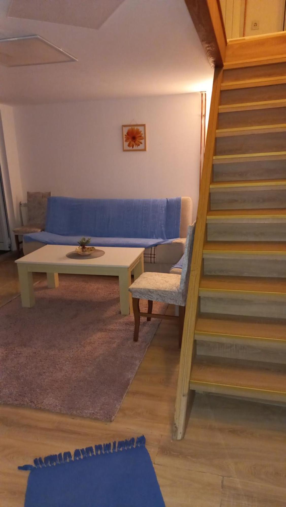 Kopaonik Apartman Aleksandar Δωμάτιο φωτογραφία